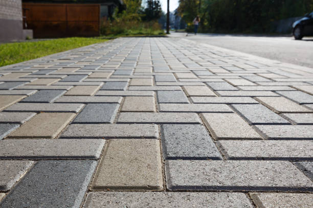 Best Professional Driveway Pavers  in Elm City, NC